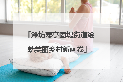 潍坊寒亭固堤街道绘就美丽乡村新画卷