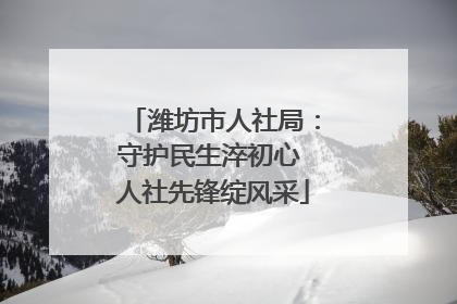 潍坊市人社局：守护民生淬初心 人社先锋绽风采