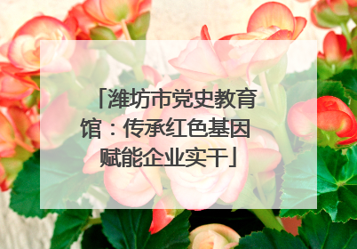 潍坊市党史教育馆：传承红色基因 赋能企业实干