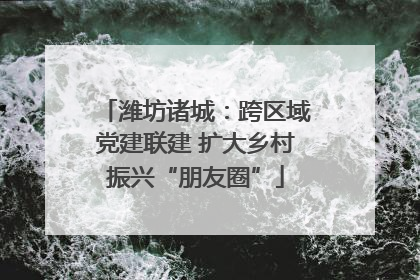 潍坊诸城：跨区域党建联建 扩大乡村振兴“朋友圈”