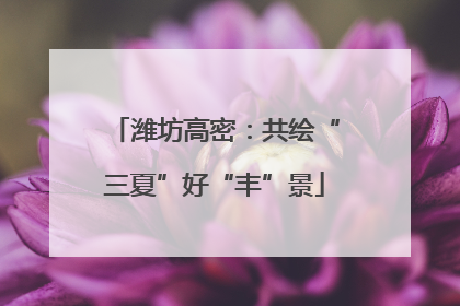 潍坊高密：共绘“三夏”好“丰”景