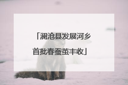 澜沧县发展河乡首批春蚕茧丰收