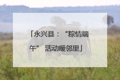 永兴县：“粽情端午” 活动暖邻里