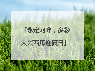 永定河畔，多彩大兴西瓜迎夏日