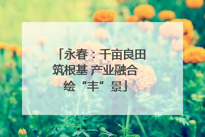 永春：千亩良田筑根基 产业融合绘“丰”景