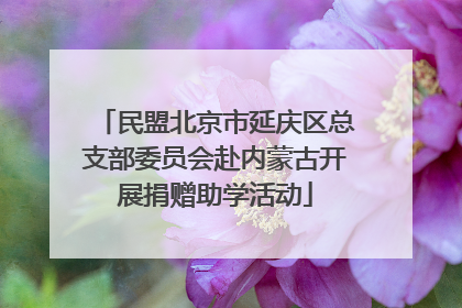 民盟北京市延庆区总支部委员会赴内蒙古开展捐赠助学活动