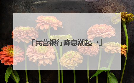 民营银行降息潮起→