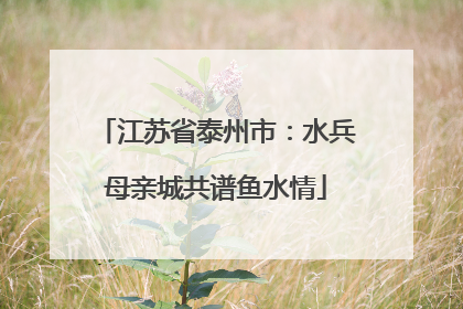 江苏省泰州市：水兵母亲城共谱鱼水情