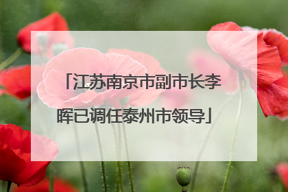 江苏南京市副市长李晖已调任泰州市领导