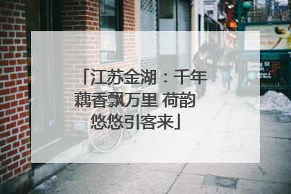 江苏金湖：千年藕香飘万里 荷韵悠悠引客来