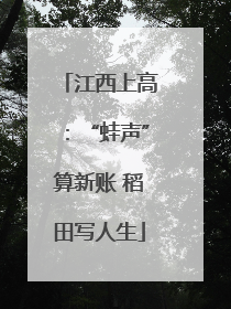 江西上高：“蛙声”算新账 稻田写人生