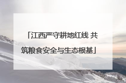 江西严守耕地红线 共筑粮食安全与生态根基