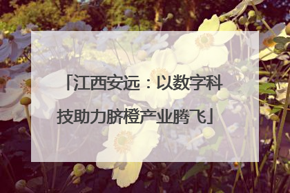江西安远：以数字科技助力脐橙产业腾飞