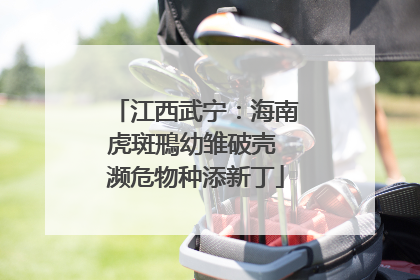 江西武宁：海南虎斑鳽幼雏破壳 濒危物种添新丁