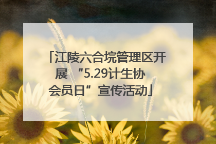 江陵六合垸管理区开展 “5.29计生协会员日”宣传活动