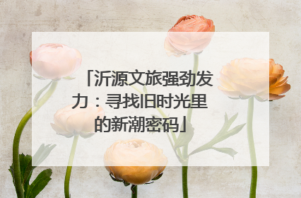 沂源文旅强劲发力：寻找旧时光里的新潮密码