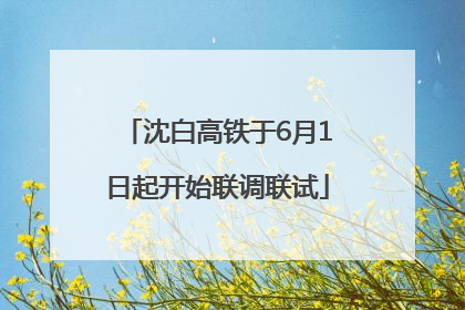 沈白高铁于6月1日起开始联调联试