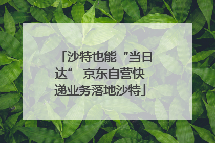 沙特也能“当日达” 京东自营快递业务落地沙特