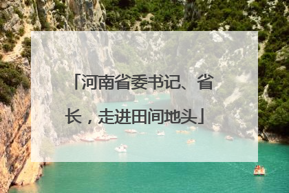 河南省委书记、省长，走进田间地头
