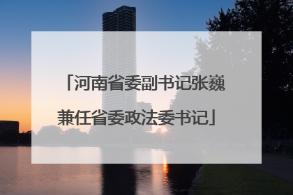 河南省委副书记张巍兼任省委政法委书记