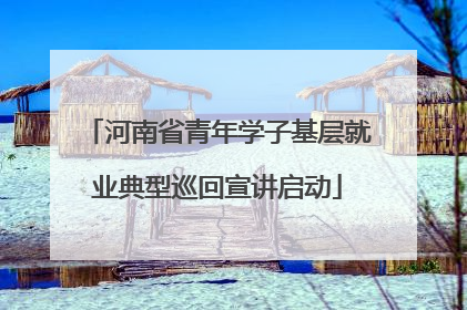 河南省青年学子基层就业典型巡回宣讲启动