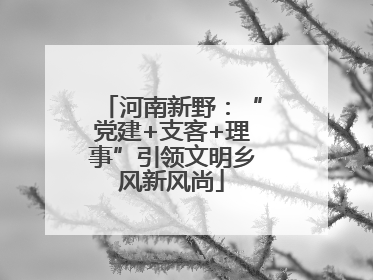 河南新野：“党建+支客+理事”引领文明乡风新风尚