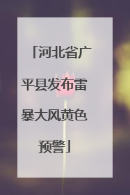 河北省广平县发布雷暴大风黄色预警