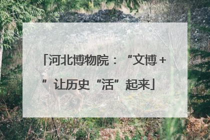 河北博物院：“文博＋”让历史“活”起来