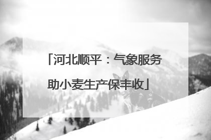 河北顺平：气象服务助小麦生产保丰收