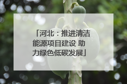河北：推进清洁能源项目建设 助力绿色低碳发展