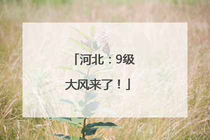 河北：9级大风来了！