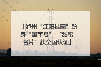 泸州“江阳桂圆”跻身“国字号” “甜蜜名片”获全国认证