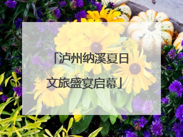 泸州纳溪夏日文旅盛宴启幕