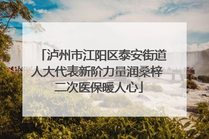 泸州市江阳区泰安街道人大代表新阶力量润桑梓 二次医保暖人心
