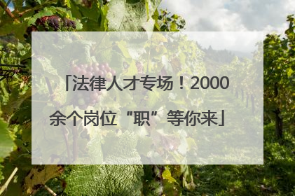 法律人才专场！2000余个岗位“职”等你来
