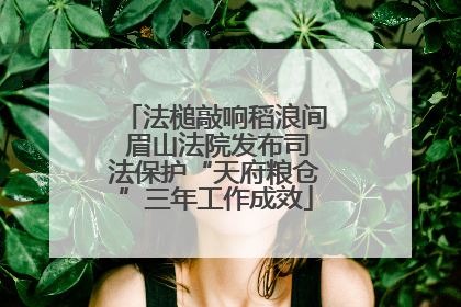 法槌敲响稻浪间 眉山法院发布司法保护“天府粮仓”三年工作成效