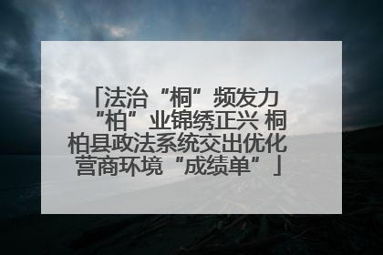 法治“桐”频发力 “柏”业锦绣正兴 桐柏县政法系统交出优化营商环境“成绩单”