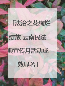 法治之花绚烂绽放 云南民法典宣传月活动成效显著