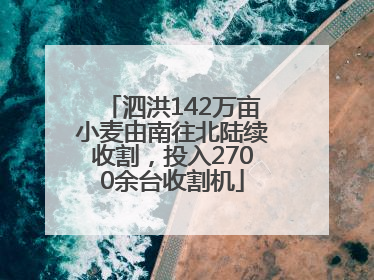 泗洪142万亩小麦由南往北陆续收割，投入2700余台收割机