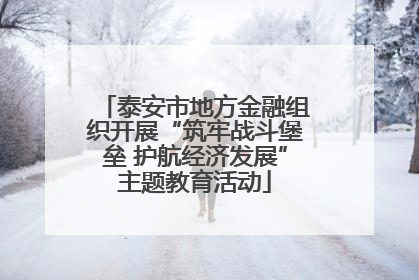 泰安市地方金融组织开展“筑牢战斗堡垒 护航经济发展”主题教育活动