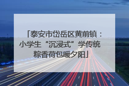 泰安市岱岳区黄前镇：小学生“沉浸式”学传统 粽香荷包暖夕阳