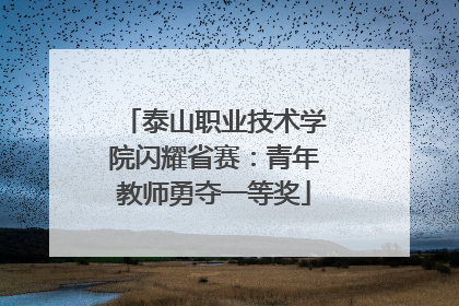 泰山职业技术学院闪耀省赛：青年教师勇夺一等奖
