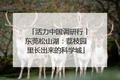 活力中国调研行丨东莞松山湖：荔枝园里长出来的科学城