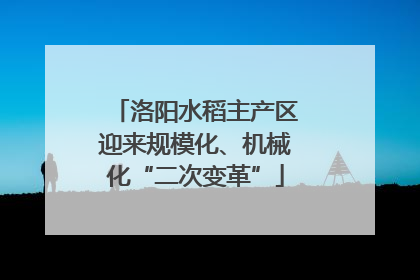 洛阳水稻主产区迎来规模化、机械化“二次变革”