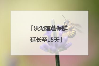 洪湖莲蓬保鲜延长至15天