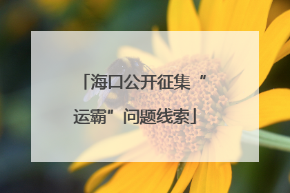海口公开征集“运霸”问题线索