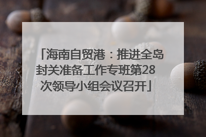 海南自贸港：推进全岛封关准备工作专班第28次领导小组会议召开