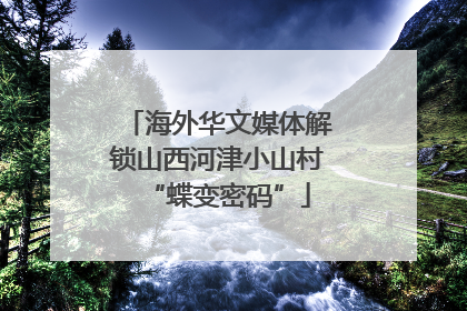 海外华文媒体解锁山西河津小山村“蝶变密码”
