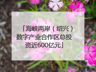 海峡两岸（绍兴）数字产业合作区总投资近600亿元