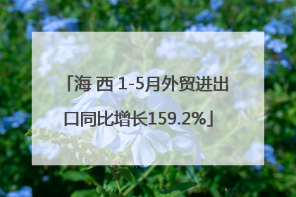 海 西 1-5月外贸进出口同比增长159.2%